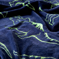 DINOSAURS REX GLOWS IN THE DARKNESS LIGHT BLANKET SOFTY AMD WARM QUEEN SIZE